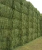 Nutritious Alfalfa Hay For Bulk Feeding With Rich Fiber Protein And Fresh Aroma For Healthy Animals