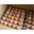 Import FRESH CHICKEN TABLE EGGS FOR EXPORT from South Africa