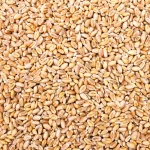 Premium Ukrainian Soybean Meal - High-Protein Animal Feed Ingredient