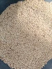 Soy Beans