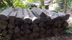 Black Ebony Wood