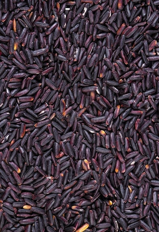 Buy Nutrient-rich Organic Black Rice from Global Export Solutions ...