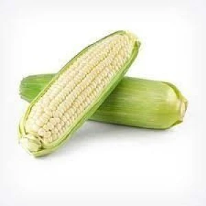 Non-GMO White Corn Grain – Safe and Natural for Food & Feed Use