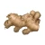 Import Natural fresh ginger available in bulk for tea blenders and herbal product makers from Tanzania