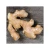 Import Natural fresh ginger available in bulk for tea blenders and herbal product makers from Tanzania