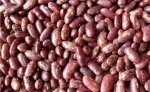 Red Spiked Kidney Beans