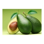 Fresh Avocados for Sale Premium Quality Export Grade Bulk Supply