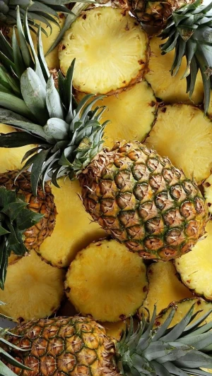 Best Selling Pineapple Origin Borneo Island Indonesia