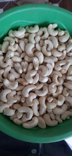 Best Supplier of Quality Cashew Nuts of All Grades Available in Best Price