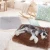Import Winter Dog Bed Mat Soft Fleece Pet Cushion House Warm Puppy Cat Sleeping Bed Blanket For Small Large Dogs Cats from China