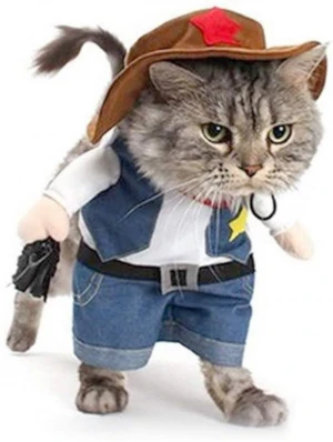 Pet dog cat Halloween costume, party cowboy Christmas special event costume