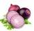 Import wholesalers other fresh vegetables fresh onions from United Kingdom
