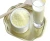 Import Instant Full Cream Milk/whole Milk Powder from Netherlands