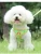 Import New product Four Seasons suede fabric Color cartoon chest back Pet breast straps reflective harness from China