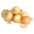 Import Top quality fresh yellow onion from China