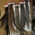 Import Grizzly rooster feather from USA