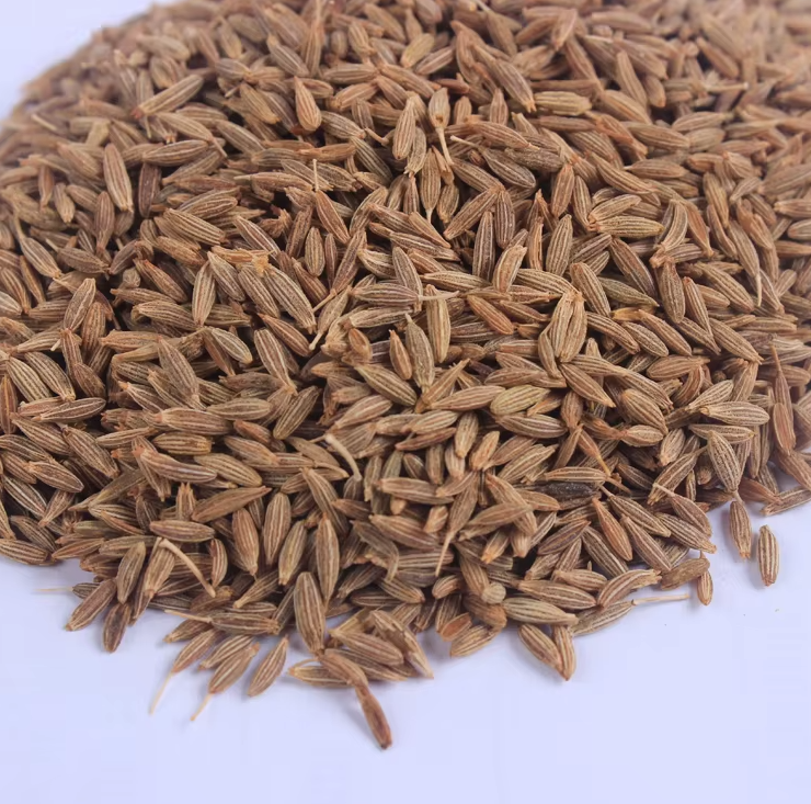 Buy High Quality Grade 1 Cumin Seeds Premium Single Spices & Herbs from ...