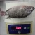 Import wholesale supply 500-800gr frozen tilapia fish black tilapia red tilapia fish for sale from USA