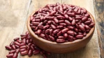 Red Kidney Beans /Speckled Kidney Beans White Beans / Pinto Beans for Human Consumption