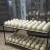 Import High Quality Ostrich Feathers, Fertile Ostrich Eggs, from South Africa