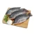 Import wholesale supply 500-800gr frozen tilapia fish black tilapia red tilapia fish for sale from USA