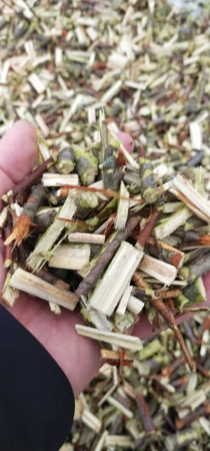 Willow woodchips