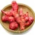 Import Organic red ginger from Indonesia