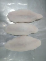IQF Frozen Pangasius Fillet