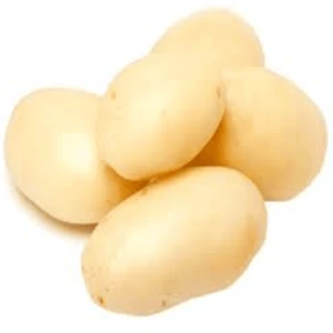 Premium Quality Pakistani Potatoes Bulk Quantity, Fresh Harvest Potatoes at Best Rates