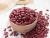 Import Kidney Beans , We Have White, Red,Black and Others for Sale from Spain