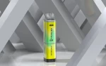 Electronic USB Cigarette