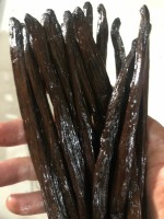 Planifolia Vanilla Beans