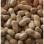 100% Natural Raw Peanuts