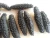 Import High quality sea cucumber from South Africa