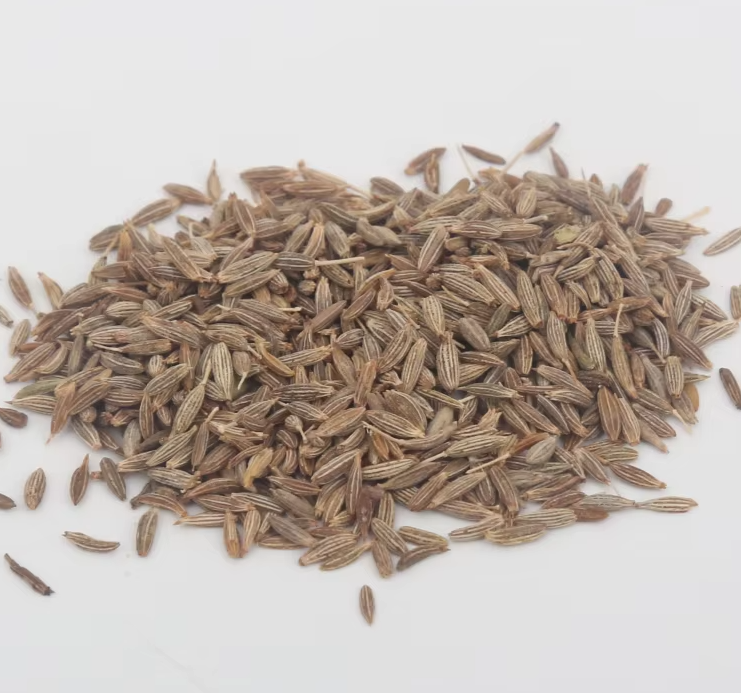 Buy High Quality Grade 1 Cumin Seeds Premium Single Spices & Herbs from ...