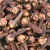 Import Whole Dried Cloves from Tanzania