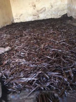 Bulk Madagascar Vanilla Beans Gourmet Grade A - 17cm Natural Dried