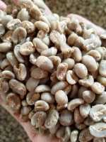 Arabica, Premium Coffeeee