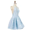 Halter Deep V Neckline Gown Light Blue Knee Length Prom Homecoming Dress