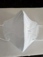 KN95 Masks