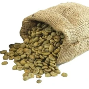 Fresh Arabica Coffee Beans – High Export Grade from Kenya Farms