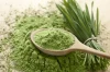 Natural Barley Grass Powder Barley Grass Juice Powder Organic Nutition Enhance Drink