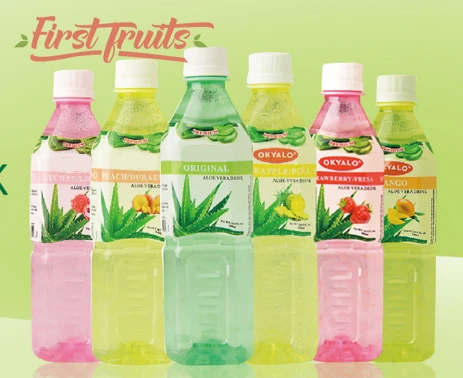 500ml PET bottle Aloe Vera Juice Drink with Mango flavor
