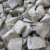 Import 100% fresh mushroom material IQF frozen oyster mushroom price from China