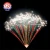 Import 100 Shots Fan-Shape display cakes fireworks 1.3G from China