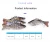 Import 10cm/15.3g Swimbait Swimming Lifelike Joint Bait Wobblers 7 Segments Swimbait Bass Jointed Fishing Lures from China