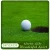 Import 15mm height PE materials Golf Putting Green with high durablity and best price from China