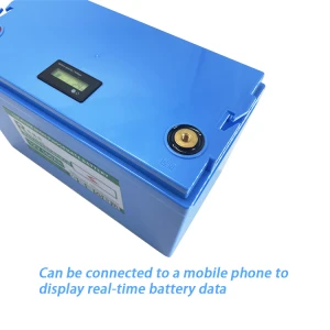 1kWh 2kWh 5kWh solar battery storage batteries lithium ion 12v 200Ah 150Ah 100Ah 80Ah 50Ah LiFePO4 Battery Pack