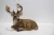 Import 2018 Hand Painted Resin Deer Statue for holidays garden decoration wedding decoration of animal figurine figure from China