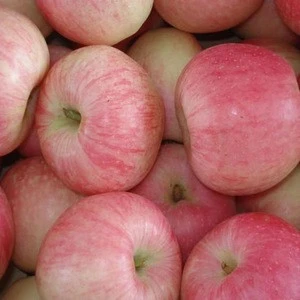 2018 Lowest Price Fresh Fruit Thai Apple